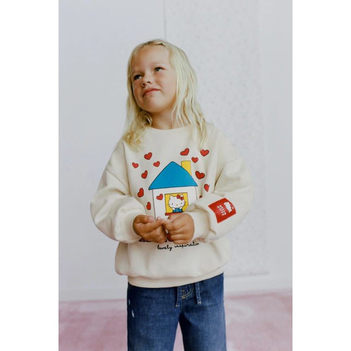 ТОЛСТОВКА HELLO KITTY © SANRIO С ПРИНТОМ «ДОМИК»
