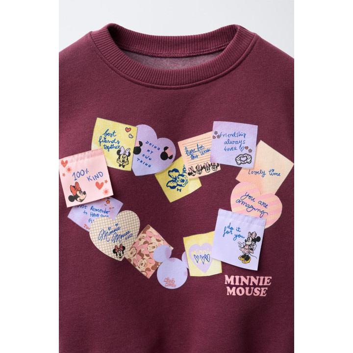 ТОЛСТОВКА С НАШИВКАМИ MINNIE MOUSE AND FRIENDS © DISNEY