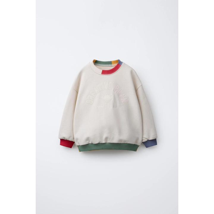 ТОЛСТОВКА С ВЫШИТОЙ НАДПИСЬЮ И КОНТРАСТНОЙ ОТДЕЛКОЙ В РУБЧИК