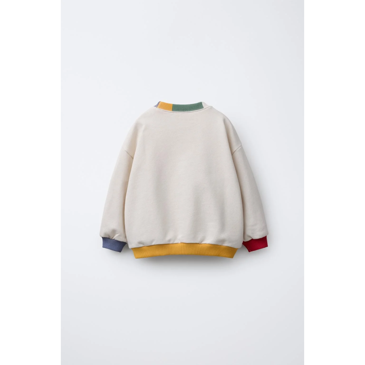 ТОЛСТОВКА С ВЫШИТОЙ НАДПИСЬЮ И КОНТРАСТНОЙ ОТДЕЛКОЙ В РУБЧИК