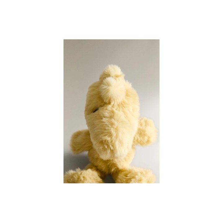 CHILDREN'S PEANUTS™ RATTLE SOFT TOY