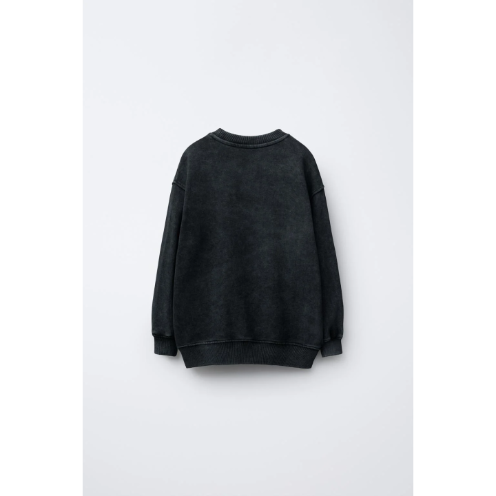 ТОЛСТОВКА С ЭФФЕКТОМ ПОТЕРТОСТИ И ПРИНТОМ