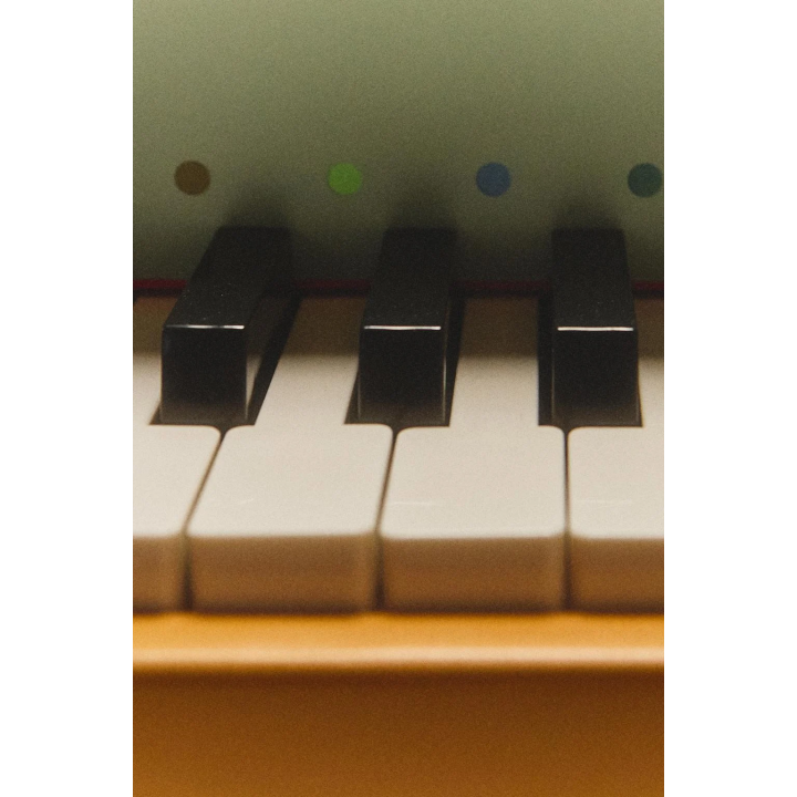 Детское деревянное игрушечное пианино