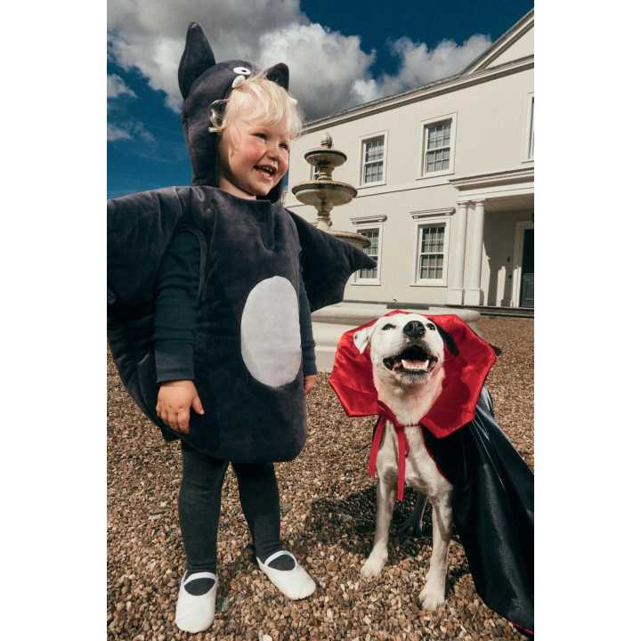 КОСТЮМ ЛЕТУЧЕЙ МЫШИ С КАПЮШОНОМ