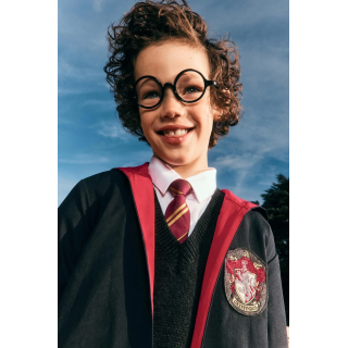 МАСКАРАДНЫЙ ГАЛСТУК HARRY POTTER ™
