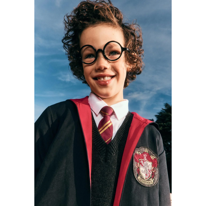 МАСКАРАДНЫЙ ГАЛСТУК HARRY POTTER ™