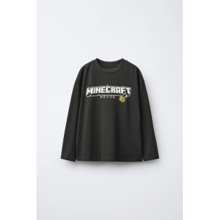 ФУТБОЛКА С ПРИНТОМ MINECRAFT © MOJANG AB. ™