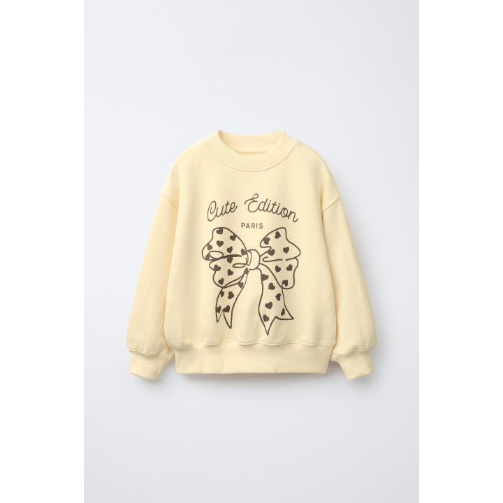 ТОЛСТОВКА С ПРИНТОМ