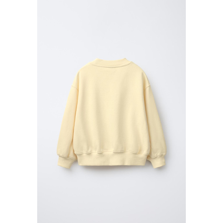 ТОЛСТОВКА С ПРИНТОМ