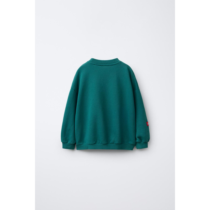 ТОЛСТОВКА С ПРИНТОМ «БАБАР ™»