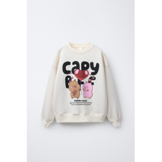 ТОЛСТОВКА С ПРИНТОМ