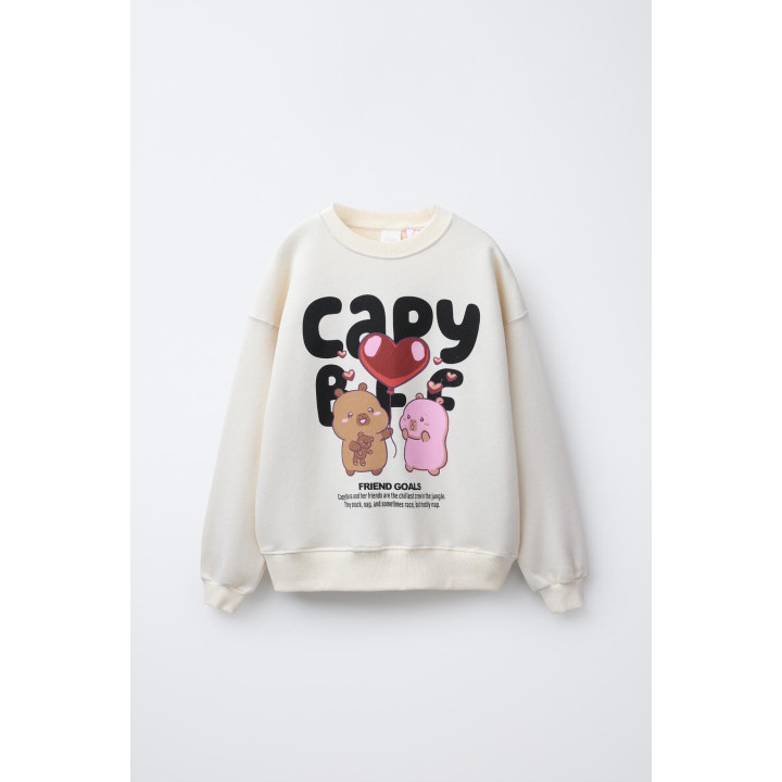 ТОЛСТОВКА С ПРИНТОМ