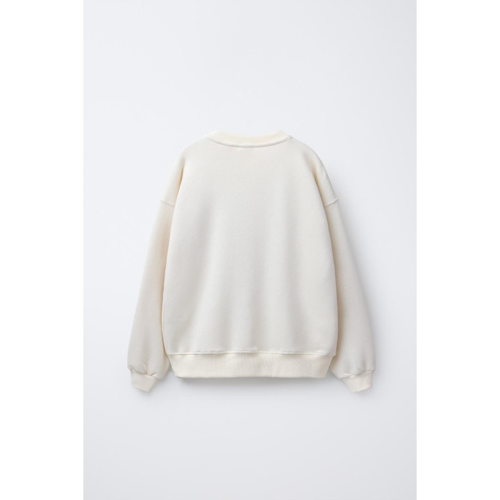 ТОЛСТОВКА С ПРИНТОМ