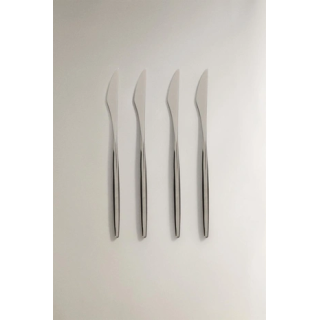 PACK OF KNIVES WITH THIN HANDLES (PACK OF 4)
