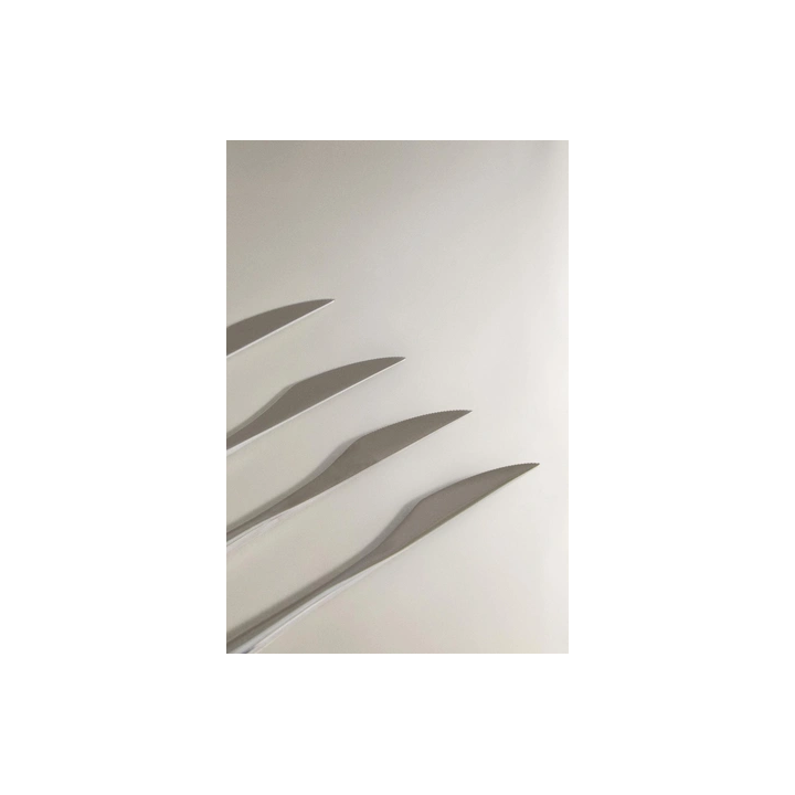 PACK OF KNIVES WITH THIN HANDLES (PACK OF 4)
