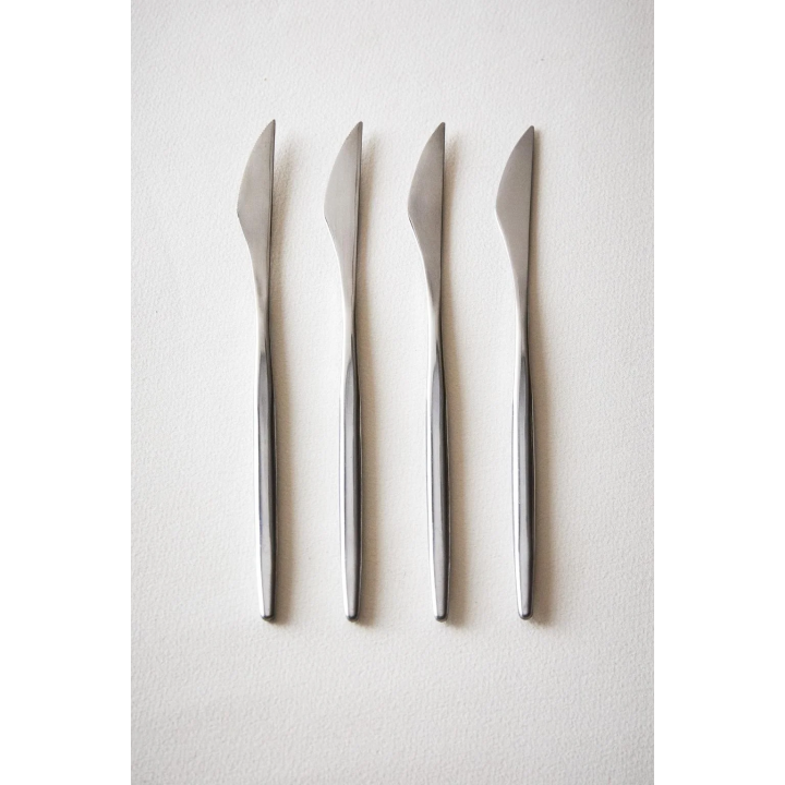 PACK OF KNIVES WITH THIN HANDLES (PACK OF 4)