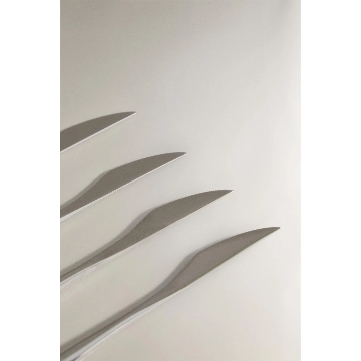 PACK OF KNIVES WITH THIN HANDLES (PACK OF 4)