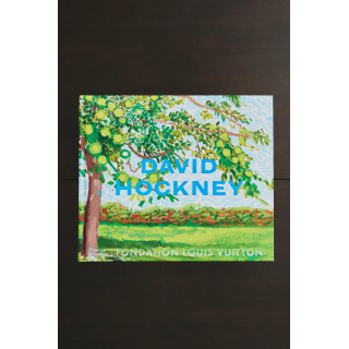 DAVID HOCKNEY - FOUNDATION LOUIS VUITTON BOOK