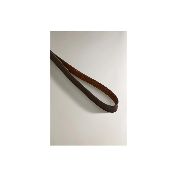 LEATHER CHRISTMAS DOG LEAD