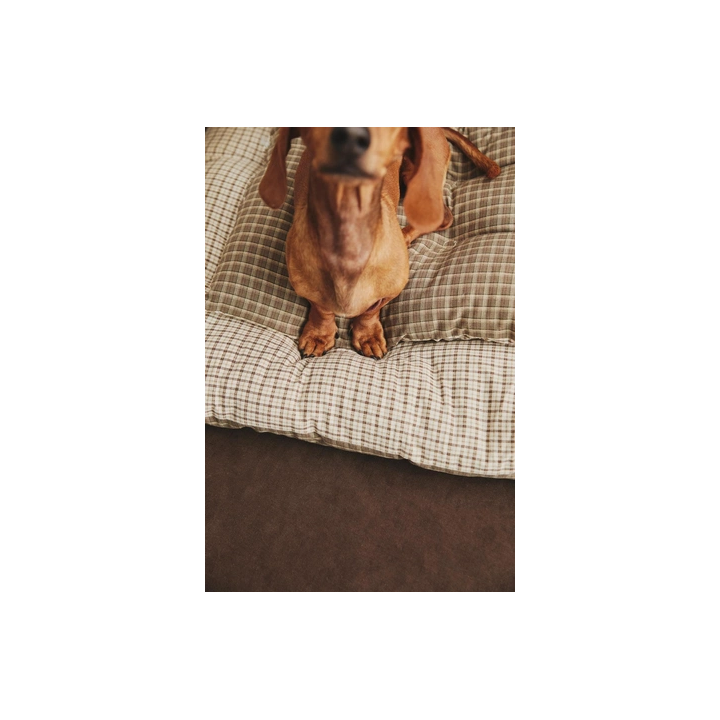 Плащ для питомца в клетку