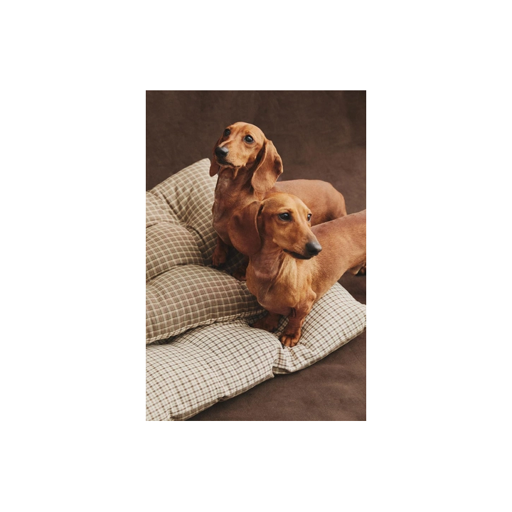 Плащ для питомца в клетку