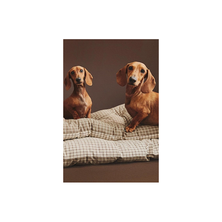 Плащ для питомца в клетку