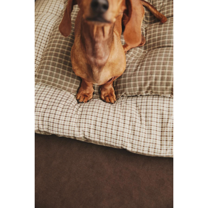 Плащ для питомца в клетку