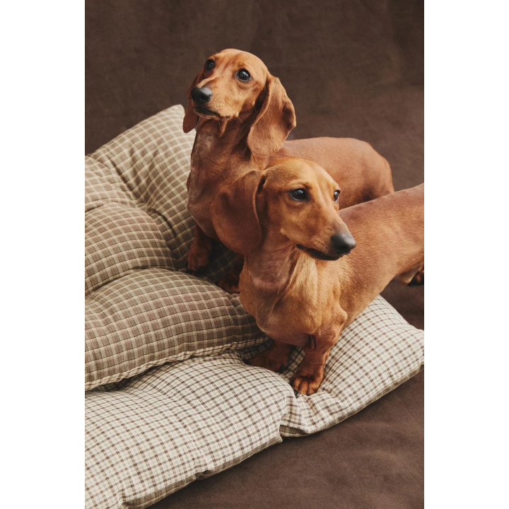 Плащ для питомца в клетку