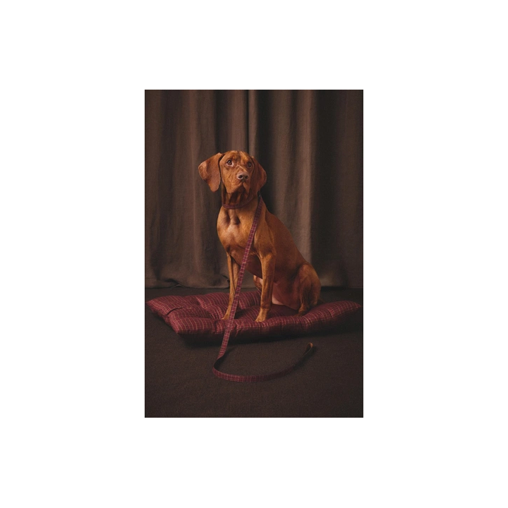 Подушка для питомца с рождественским узором