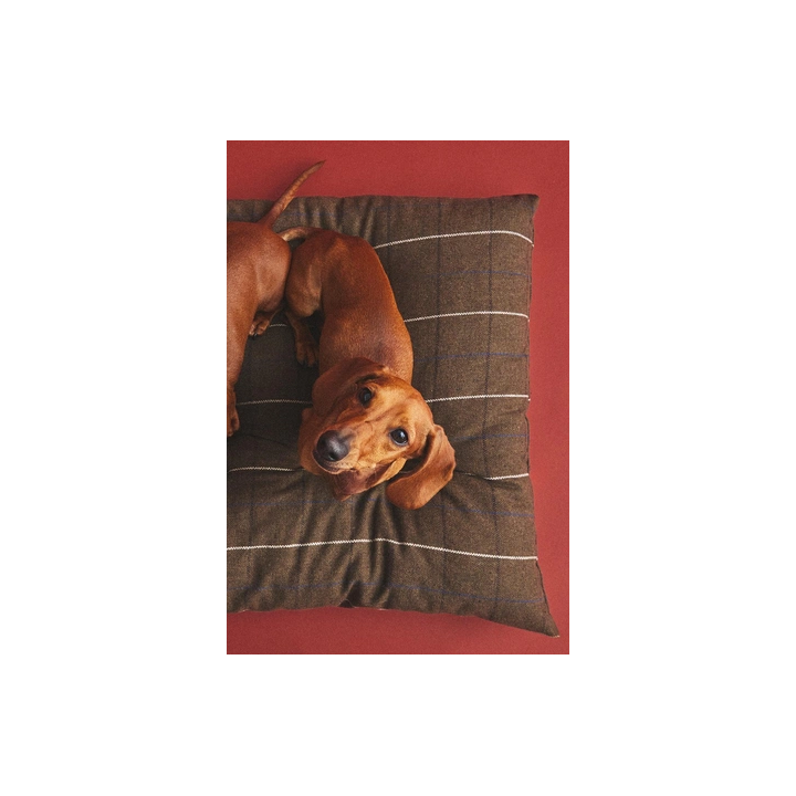 Съемная подушка для животных