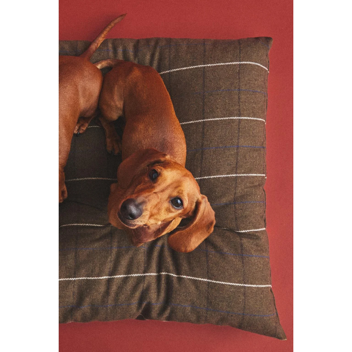 Съемная подушка для животных