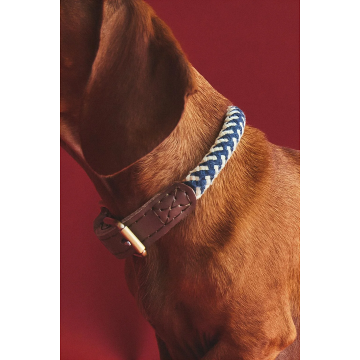 Ошейник для собак из цветной шнурки