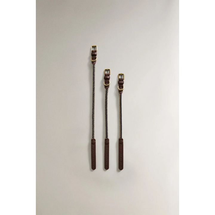 Ошейник для собак из цветной шнурки