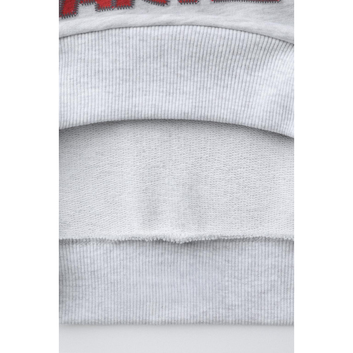 ТОЛСТОВКА С ПРИНТОМ STARTER ®