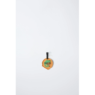 Багажная бирка explorer suitcase