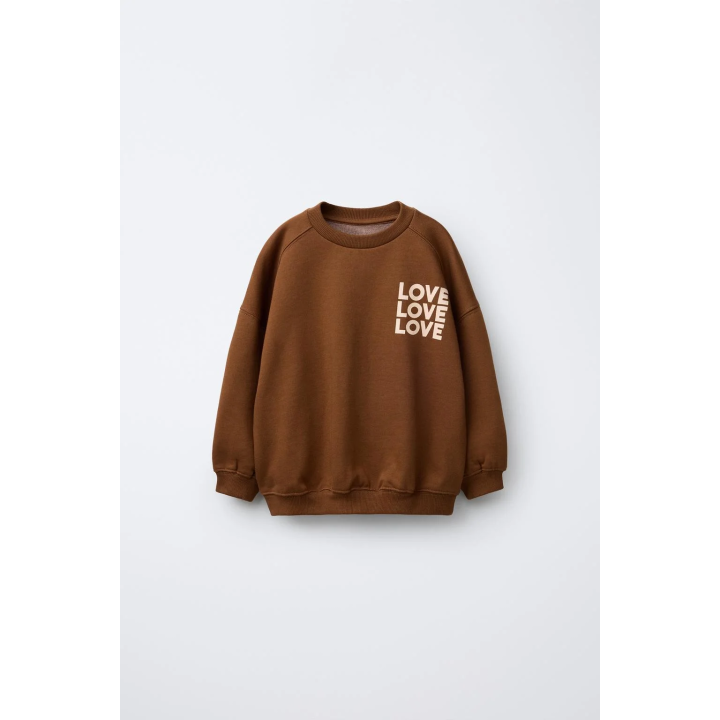 ТОЛСТОВКА С ТЕКСТОВЫМ ПРИНТОМ