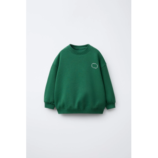 БАЗОВАЯ ТОЛСТОВКА С ТЕКСТОМ