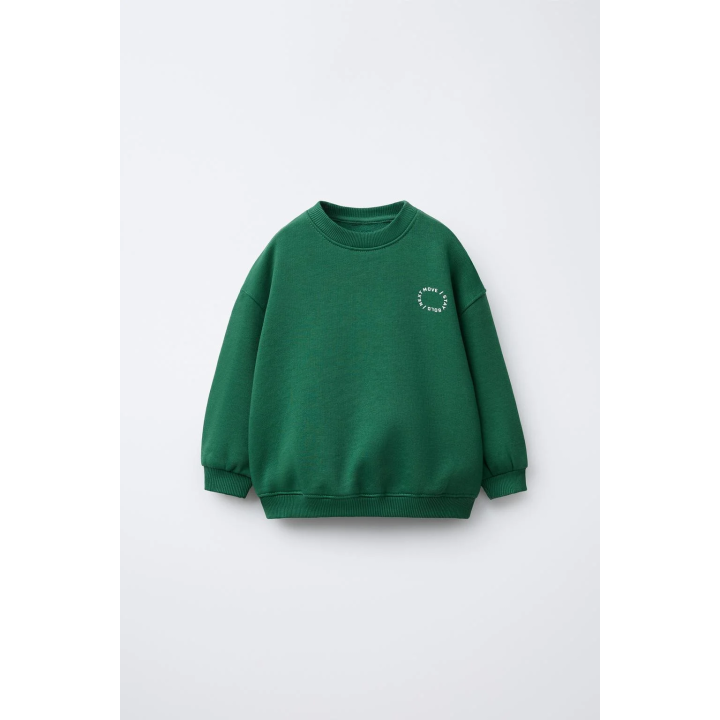 БАЗОВАЯ ТОЛСТОВКА С ТЕКСТОМ