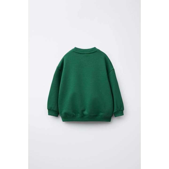 БАЗОВАЯ ТОЛСТОВКА С ТЕКСТОМ