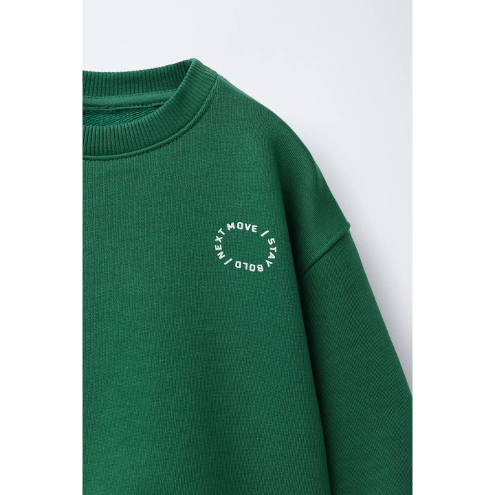 БАЗОВАЯ ТОЛСТОВКА С ТЕКСТОМ