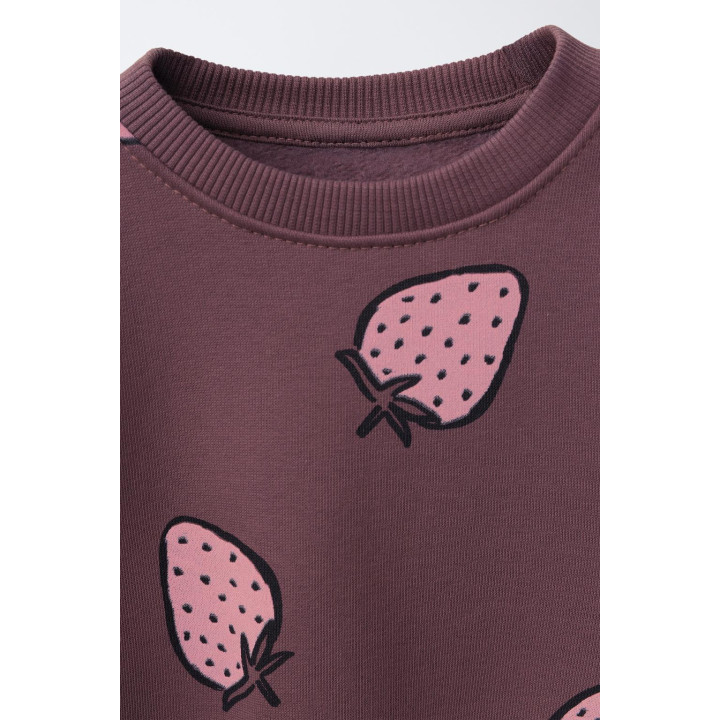 ТОЛСТОВКА С ПРИНТОМ