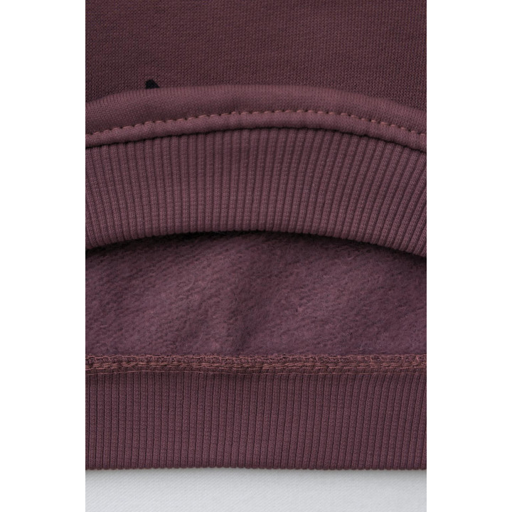 ТОЛСТОВКА С ПРИНТОМ