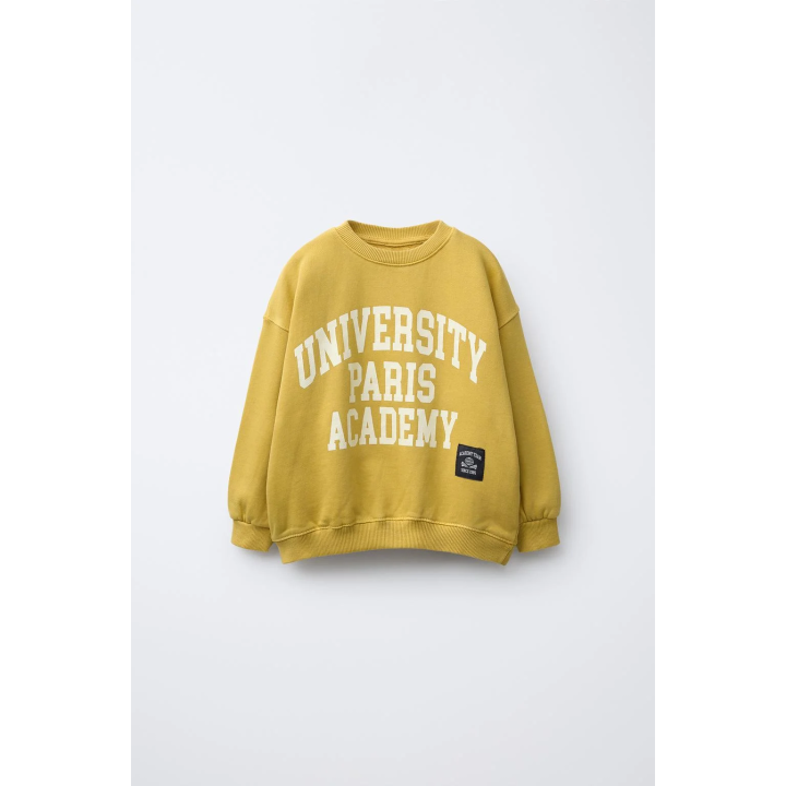 ТОЛСТОВКА UNIVERSITY С ТЕКСТОМ