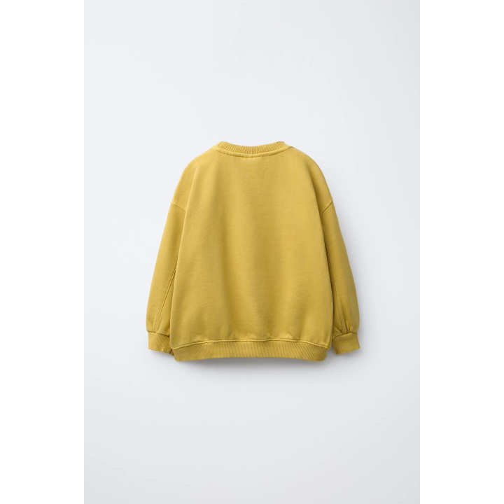 ТОЛСТОВКА UNIVERSITY С ТЕКСТОМ