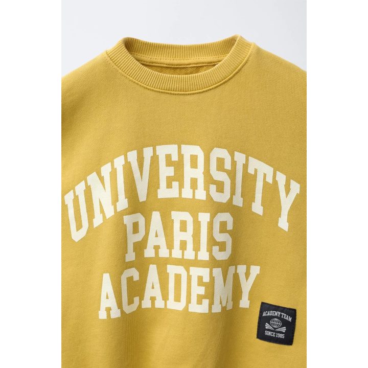 ТОЛСТОВКА UNIVERSITY С ТЕКСТОМ