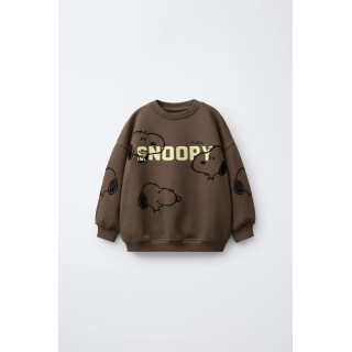 ТОЛСТОВКА С ВЫШИВКОЙ SNOOPY PEANUTS™