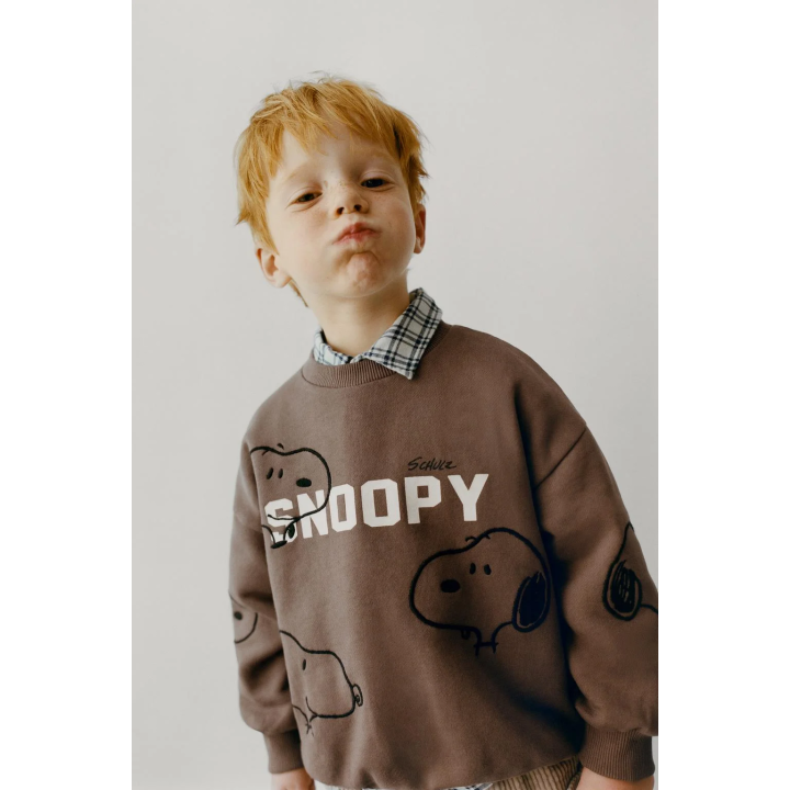 ТОЛСТОВКА С ВЫШИВКОЙ SNOOPY PEANUTS™