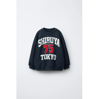 ТОЛСТОВКА С ТЕКСТОМ И НАШИВКОЙ