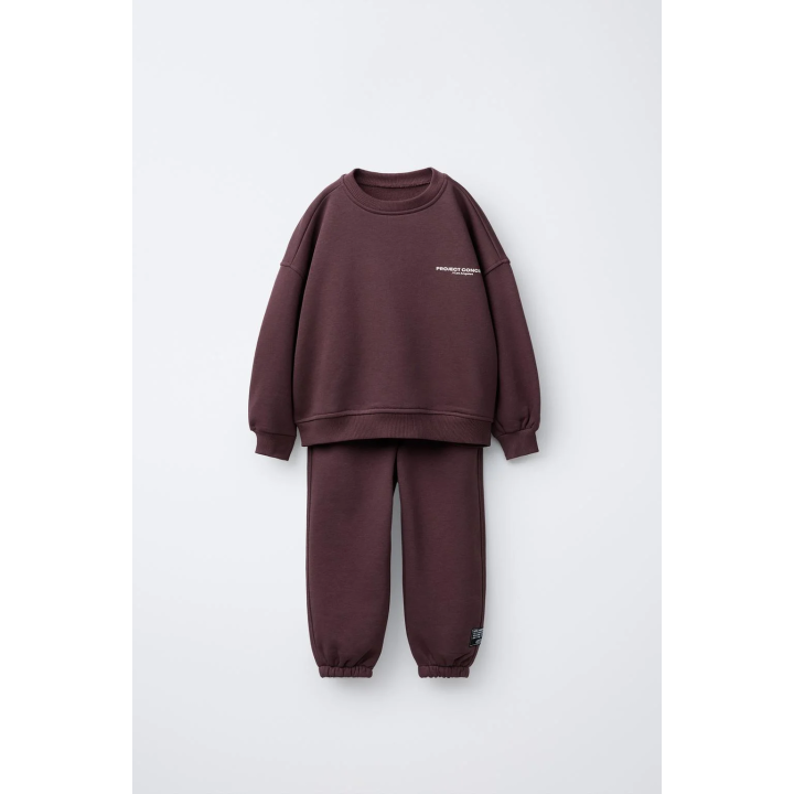 КОМПЛЕКТ: ТОЛСТОВКА И ДЖОГГЕРЫ С ТЕКСТОМ