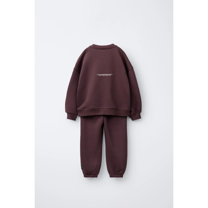 КОМПЛЕКТ: ТОЛСТОВКА И ДЖОГГЕРЫ С ТЕКСТОМ